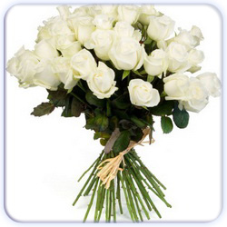 White Roses Bouquet - 27 Stems
